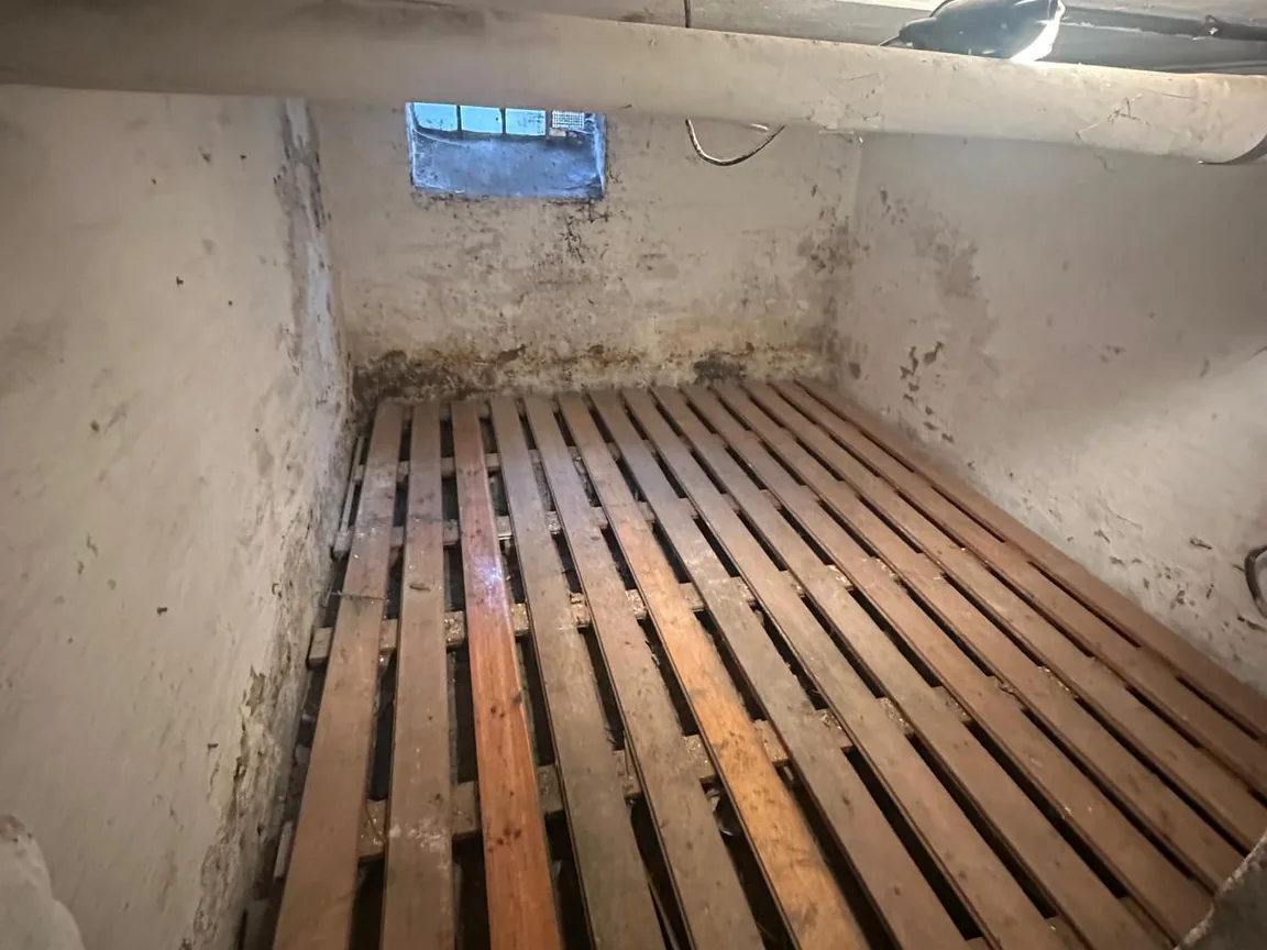 Kellerraum nach der Räumung, Keller Kiel